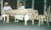 hoed_brede_randen06